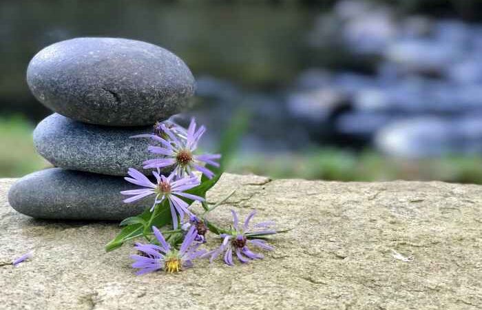 Mindfulness retreats mindful meditation retreat way participant guidelines