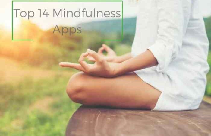 Mindfulness apps app health crunchbase iphone feel mental leap dynamic source