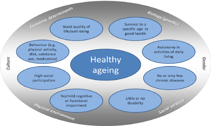 Healthy aging strategies