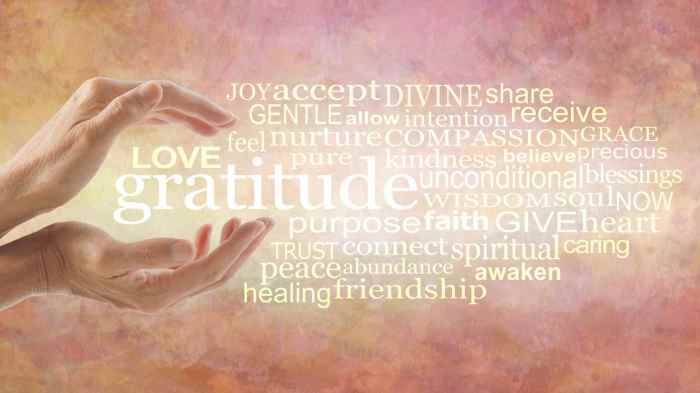 Gratitude llc