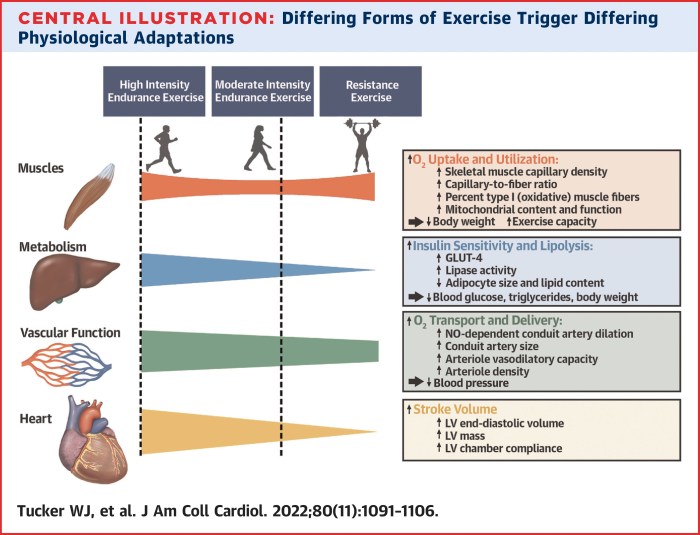 Disease prevention through exercise