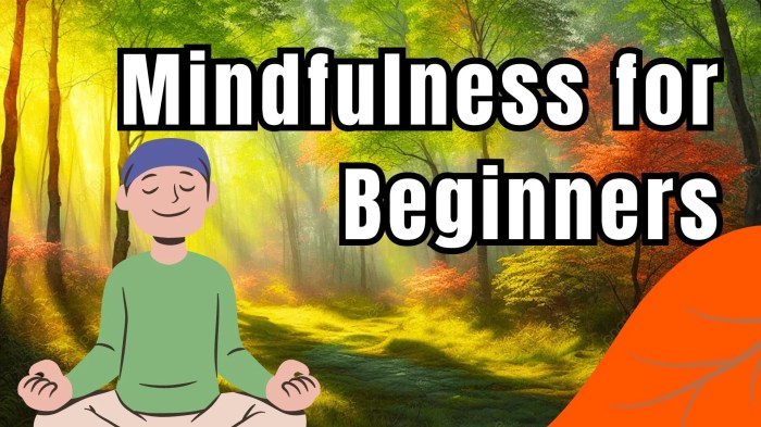 Mindfulness for beginners
